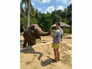 Koszty leczenia w Tajlandii a odpowiednia polisa turystyczna