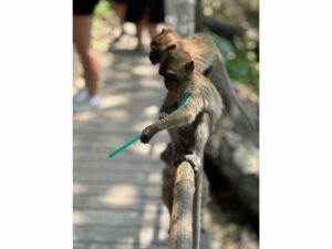 Ubezpieczenie turystyczne do Tajlandii – ochrona zdrowia podczas egzotycznych wakacji