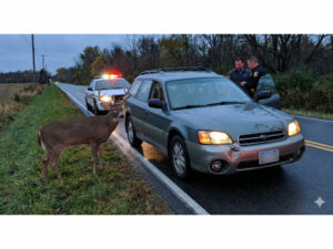 Wariant ASO ubezpieczenie Autocasco likwidacja szkody